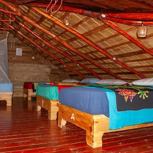https://hostel-la-ballena-backpacker.greaterantilleshotels.net